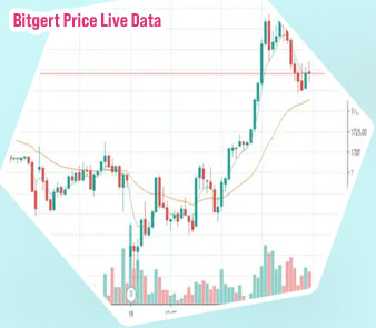 Bitrise stock price