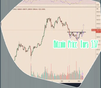 Btc share price
