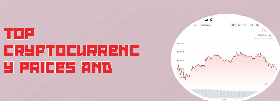 Cryptocurrency statistics