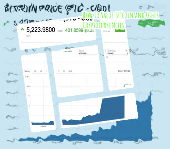 How much is 1 share of bitcoin