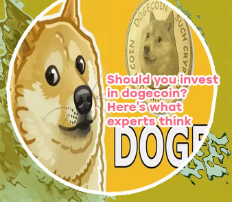 Why you should invest in dogecoin